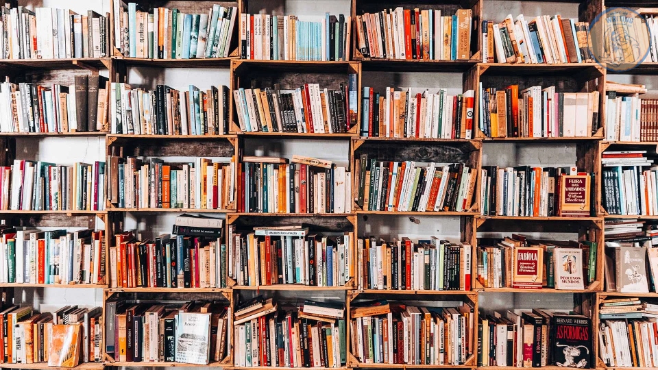 how to get your novel published
